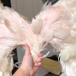 Wings additional pictures